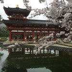 2015-04-01-1401-宇治-平等院-桜53