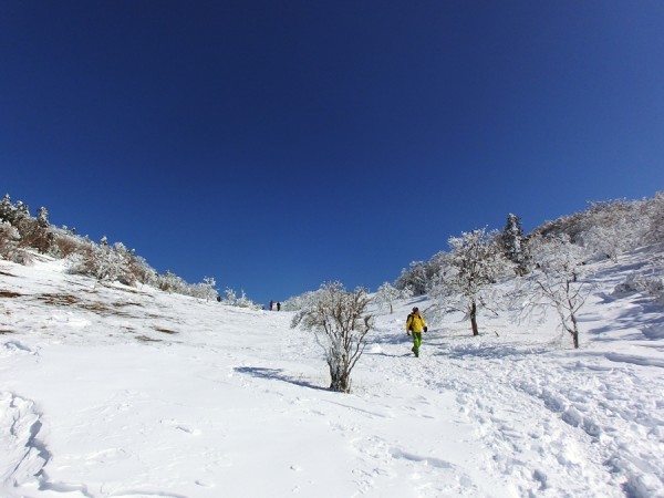 2014-02.23-13.57-三峰山-雪山-登山-樹氷20