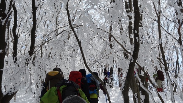 2014-02.23-22.12-三峰山-雪山-登山-樹氷36