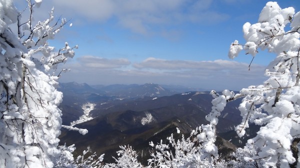 2014-02.23-22.13-三峰山-雪山-登山-樹氷46