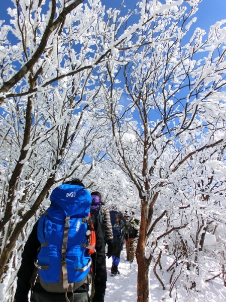2014-02.23-23.22-三峰山-雪山-登山-樹氷06