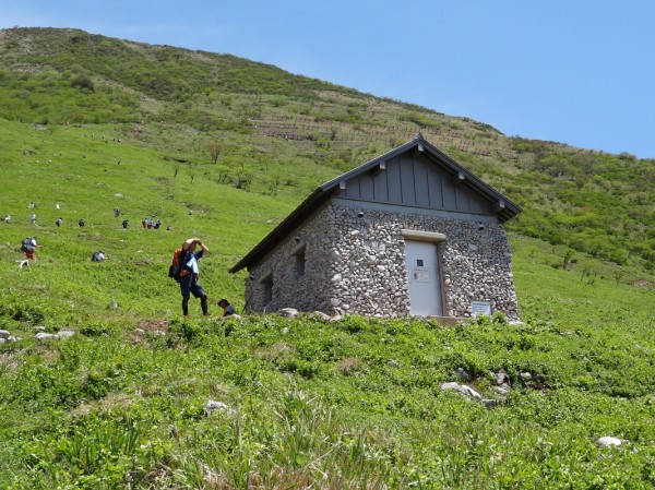 2014-05-18-1106-伊吹山-登山-18