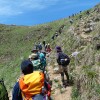 やっと登れた伊吹山登山、登山口から山頂までタフな高低差…しっかり登山でした