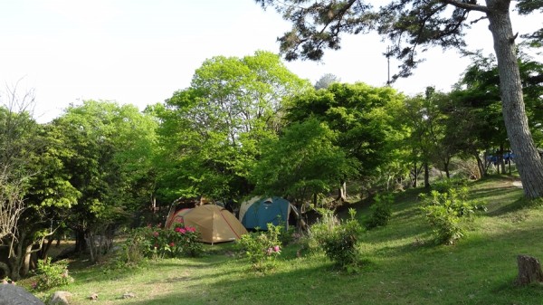 2014-05-24-1637-大野山アルプスランドキャンプ場-001