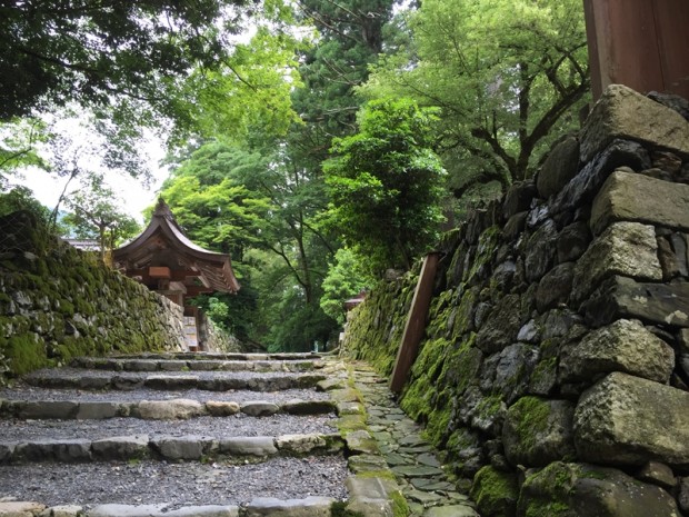 20150620-1037-武奈ヶ岳-登山19