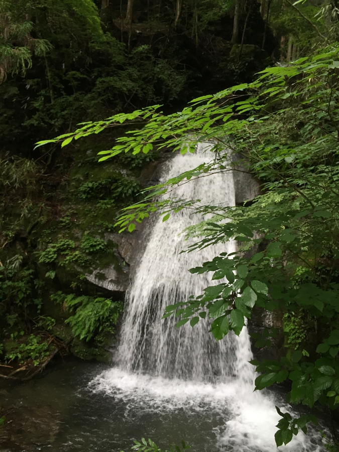 明神平登山断念で東吉野の名瀑をめざす…七滝八壺