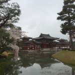 2015-04-01-1330-宇治-平等院-桜32