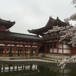 2015-04-01-1402-宇治-平等院-桜57