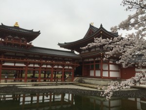 2015-04-01-1402-宇治-平等院-桜57