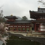 2015-04-01-1401-宇治-平等院-桜52