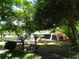 DSC00077_R