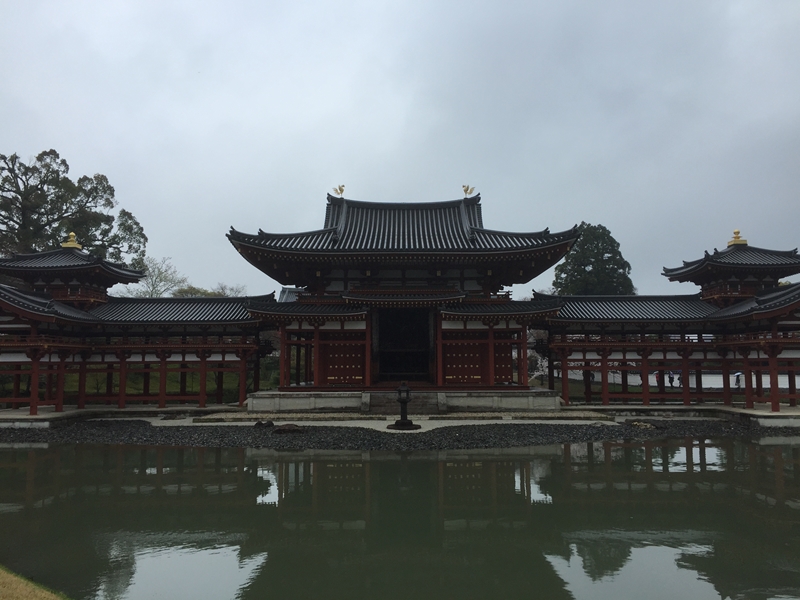 桜の季節にふらーっと宇治平等院