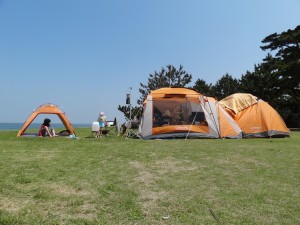 慶野松原キャンプ場フリーサイト1