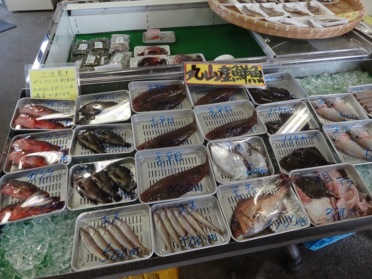 丸山漁港の鮮魚を求め「魚菜館」へ…慶野松原一般キャンプ場周辺で食材さがし。