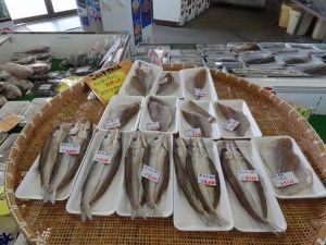 淡路島の魚彩館に行ってみた04