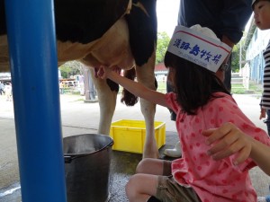 淡路島牧場で乳しぼり体験02