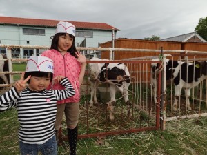 淡路島牧場で牛とたわむれ02