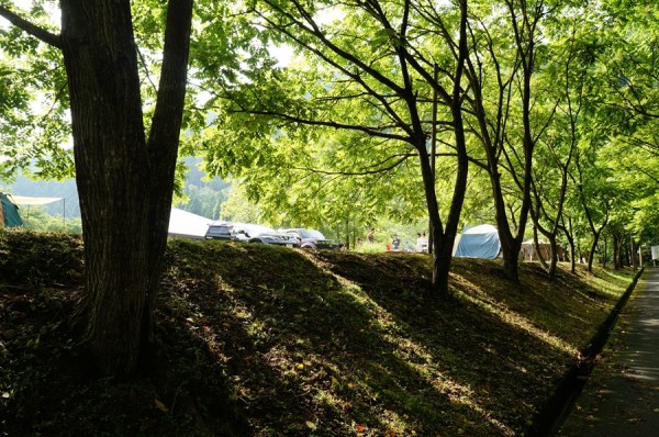 美山町自然文化村キャンプ場-フリーサイト3-03